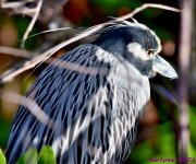 DSC_8364_001.JPG