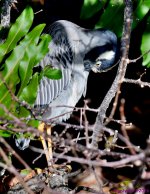 DSC_8399_001.JPG