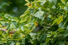 RD5_3089-Edit.jpg