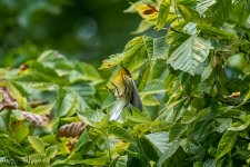 RD5_3090-Edit.jpg