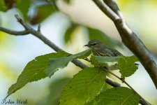 RD5_5290-Edit-2.jpg