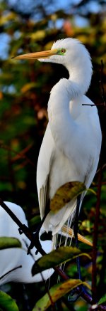 DSC_8537_stitch3_001.JPG