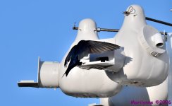 DSC_8601_001.JPG