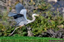 DSC_8837_001.JPG