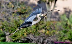 DSC_8838_001.JPG