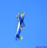 DSC_8955_001.JPG