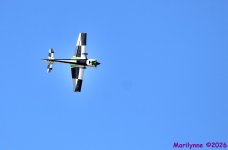 DSC_9017_001.JPG