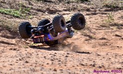 DSC_9120_001.JPG