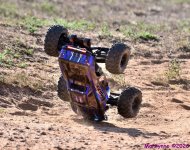 DSC_9127_001.JPG