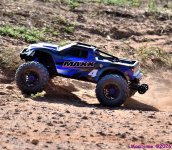 DSC_9133_001.JPG