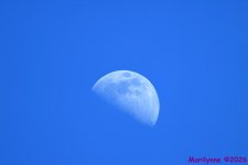 DSC_9265 copy_001.JPG