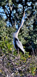 DSC_9276_001.JPG