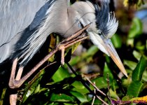 DSC_9361_001.JPG