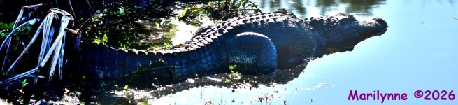 DSC_9410_stitch4_001_01.JPG