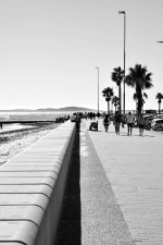 _DSC4032-web.JPG