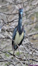 DSC_0005_stitch_001.JPG