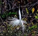 DSC_0037_stitch3_001.JPG