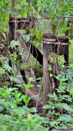 DSC_0092_stitch_001.JPG