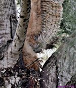 DSC_0131_001.JPG