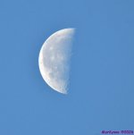 DSC_0208_001.JPG