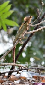 DSC_0218_001.JPG
