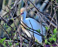 DSC_0253_001.JPG
