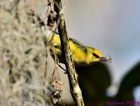 DSC_0355_001.JPG