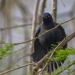 DSC_9676-2.jpg