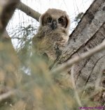DSC_0378_001.JPG
