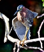 DSC_0697_stitch_001.jpg