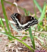 DSC_0777_stitch7_001.JPG
