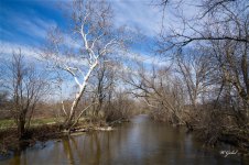 MountinCreeek02 sm.jpg