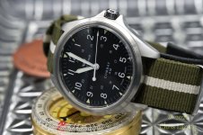 2026-03-21 Glycine02.jpg