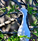 DSC_0812_001.JPG