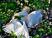 DSC_0814_001.JPG