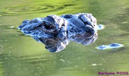 DSC_0923_001.JPG