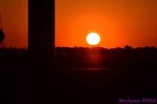 DSC_0926_001.JPG
