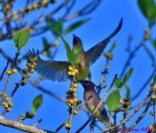 DSC_1023_001.JPG