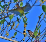 DSC_1024_001.JPG