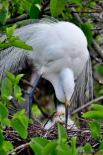 DSC_1301_001.JPG