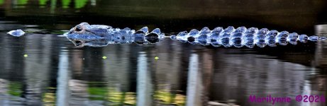 DSC_1365_stitch3_001.JPG