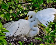 DSC_1411_stitch3_001.JPG