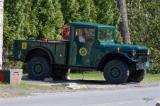 M37ForestTruck sm.jpg