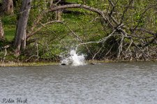 D50_3058.jpg