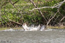 D50_3059.jpg