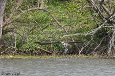 D50_3065.jpg