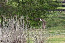 D50_3077-Edit.jpg