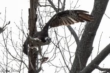 D50_3130-Edit.jpg