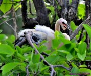 DSC_1548_001.JPG