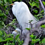 DSC_1810_001.JPG